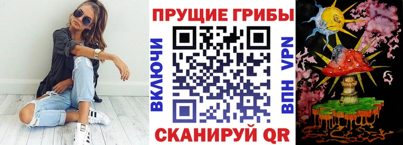 kraken рабочий сайт Уссурийск Галлюциногенные грибы мицелий